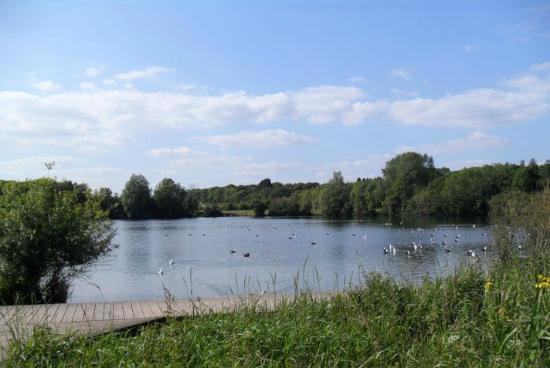 Cosmeston Lakes Country Park